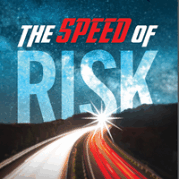 THE SPEED OF RISK: LESSONS LEARNED ON THE AUDIT TRAIL, 2ND EDITION