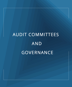 AUDIT COMMITEES AND GOVERNANCE