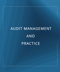 AUDIT MANAGEMENT AND PRACTICE