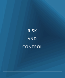 RISK AND CONTROL