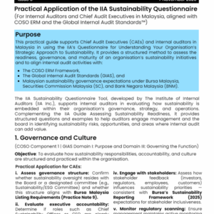 Practical Application of the IIA Sustainability Questionnaire